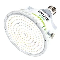HyLite LED Light Bulb (00339)