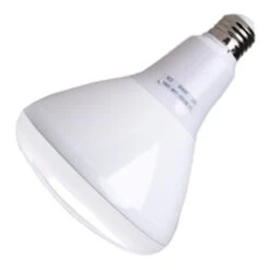 LongStar LED Reflector Flood Retrofit (02273)