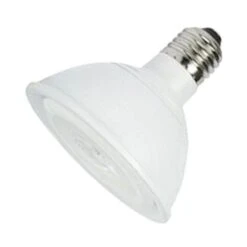 LongStar LED Reflector Flood Retrofit (02412)