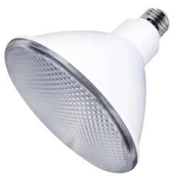 Eiko LED Light Bulb (12438)