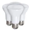 General LED Light Bulb (4 Pack) (16270)