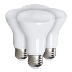 General LED Light Bulb (4 Pack) (16270)