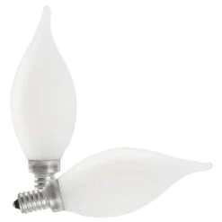 Feit Electric LED Light Bulb (2 Pack) (21108)