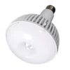 Satco LED Light Bulb (23113) 2 Satco LED Light Bulb (23113) -LED Glow Shop 23113lg