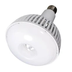 Satco LED Light Bulb (23113)