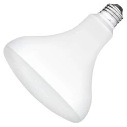 TCP LED Reflector Flood Retrofit (27447)