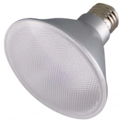 Satco LED Reflector Flood Retrofit (29419)