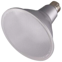 Satco LED Light Bulb (29455)