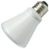 TCP LED Flood Retrofit (31293) -LED Glow Shop 31288lg 1