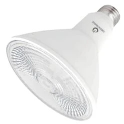 Green Creative LED Light Bulb (36538)