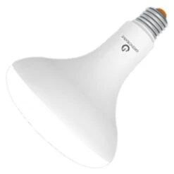 Green Creative LED Reflector Flood Retrofit (36698)