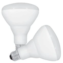 Feit Electric LED Light Bulb (2 Pack) (43742)