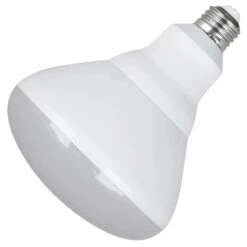 Feit Electric LED Light Bulb (45939)