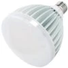 Keystone LED Light Bulb (49014) -LED Glow Shop 49014lg