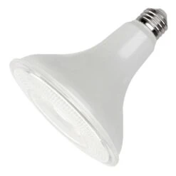 Maxlite LED Flood Light Bulb (96168)
