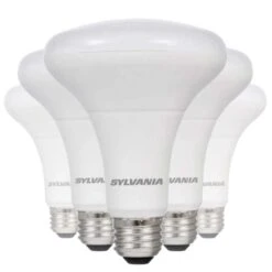 Sylvania LED Reflector Flood Retrofit (6 Pack) (41328)