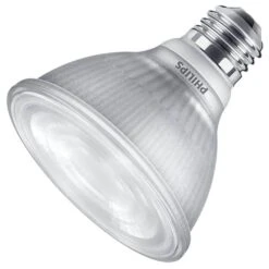 Philips LED Reflector Flood Retrofit (568030)