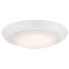 Westinghouse LED Flush Mount Ceiling Light Fixture (61074) -LED Glow Shop 61074lg