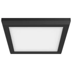 Nuvo Lighting LED Ceiling Light Fixture (62537)