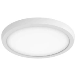 Nuvo Lighting LED Ceiling Light Fixture (62540)