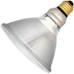 Sylvania LED Reflector Flood Light Bulb (74948)
