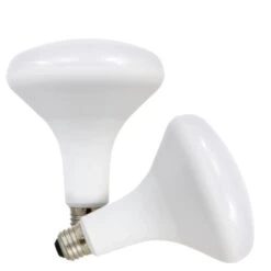 Sylvania LED Reflector Flood Retrofit (2 Pack) (79498)