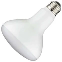 TCP LED Reflector Flood Retrofit (14184)